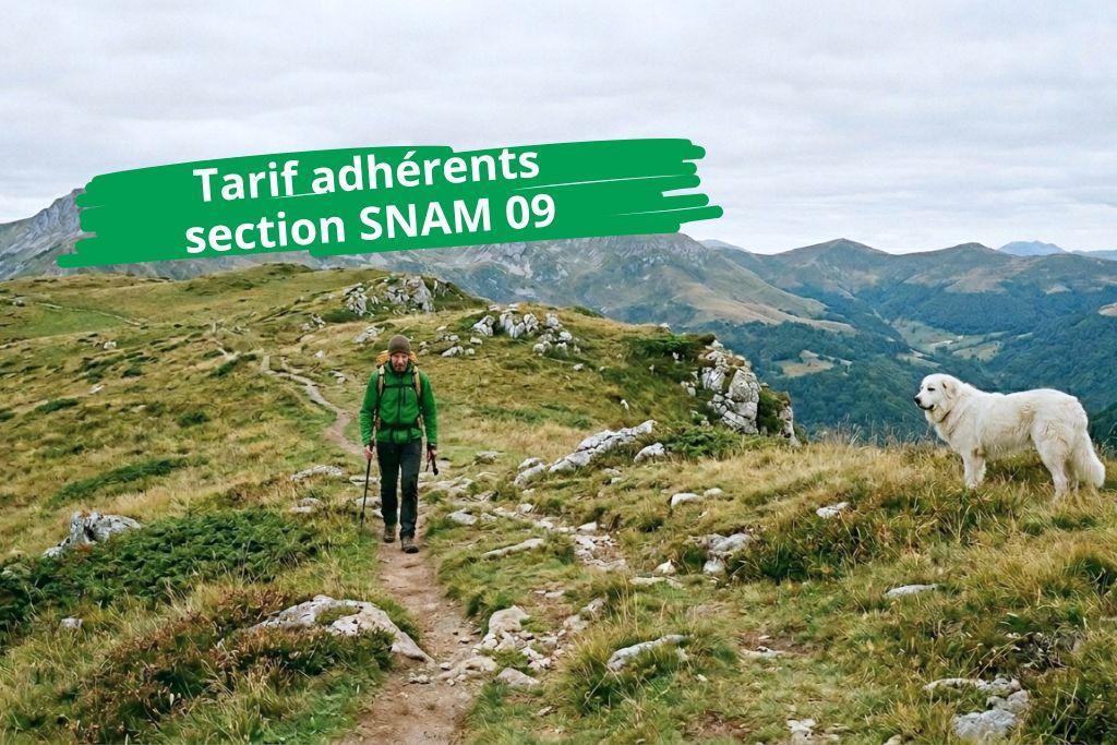 Bannière visuelle de présentation de la formation