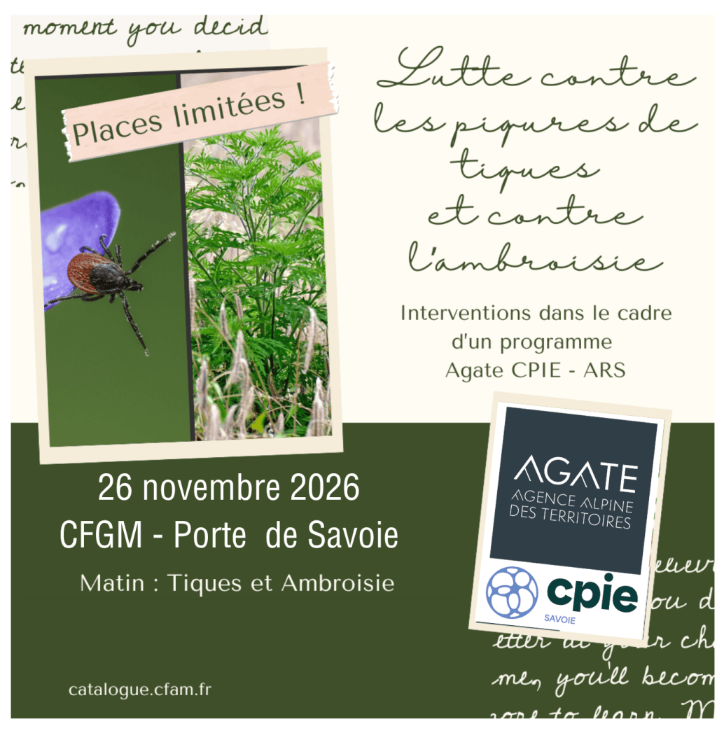 Bannière visuelle de présentation de la formation