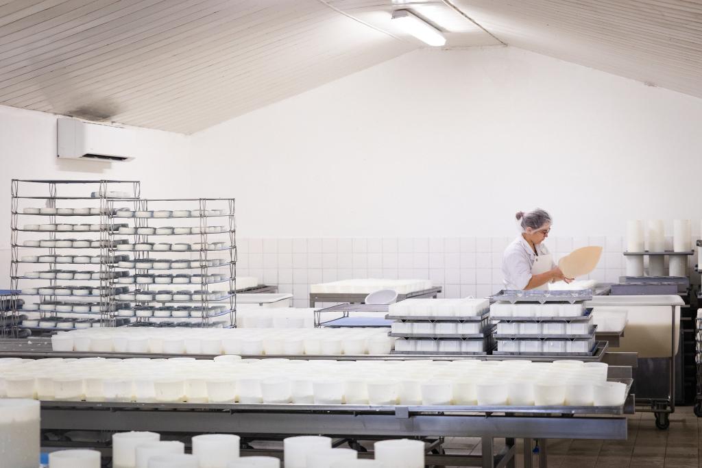 Bannière visuelle de présentation de la formation