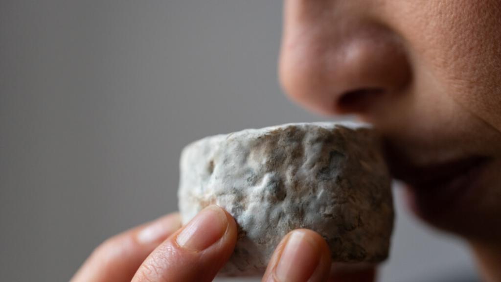 Bannière visuelle de présentation de la formation