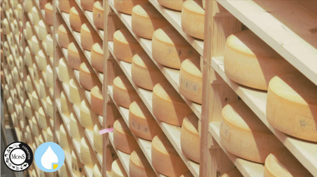 Bannière visuelle de présentation de la formation