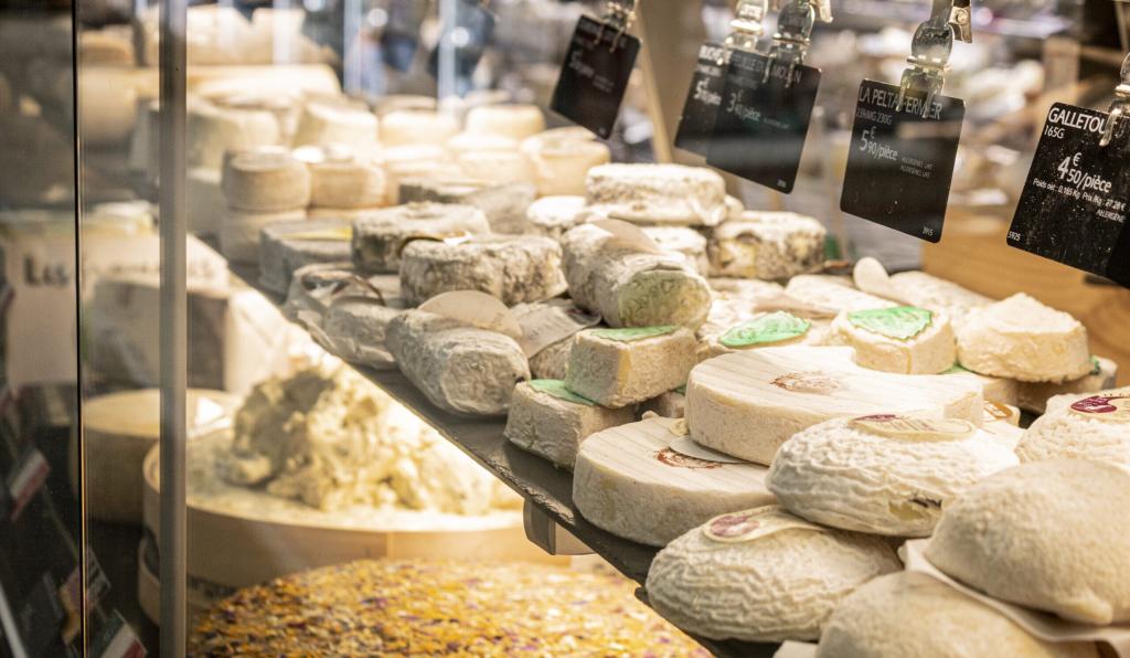 Bannière visuelle de présentation de la formation