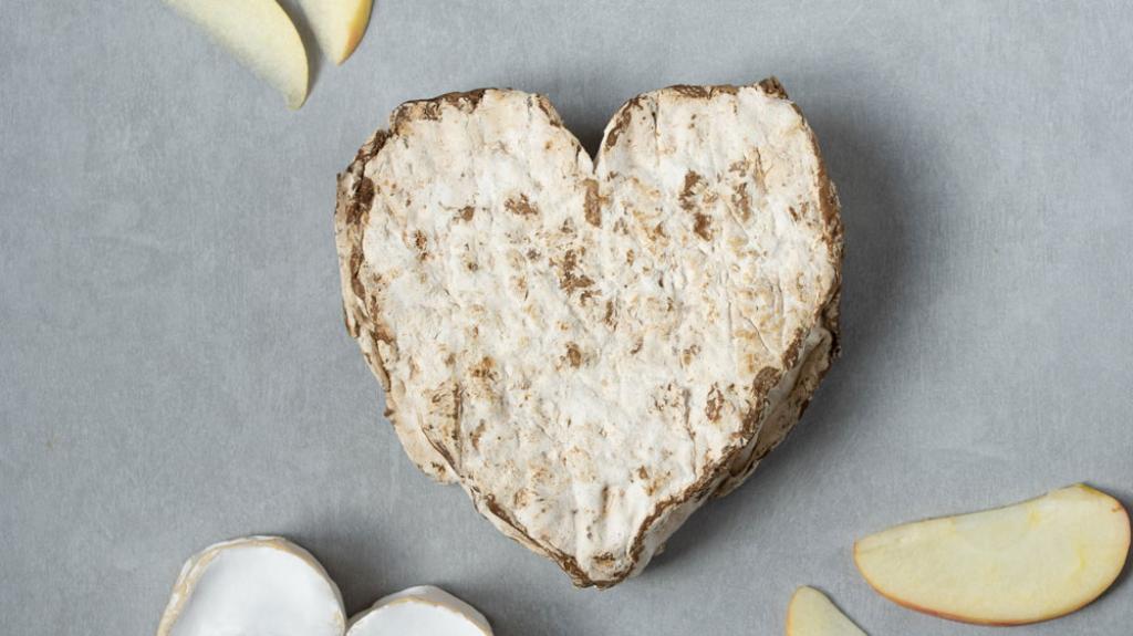 Bannière visuelle de présentation de la formation