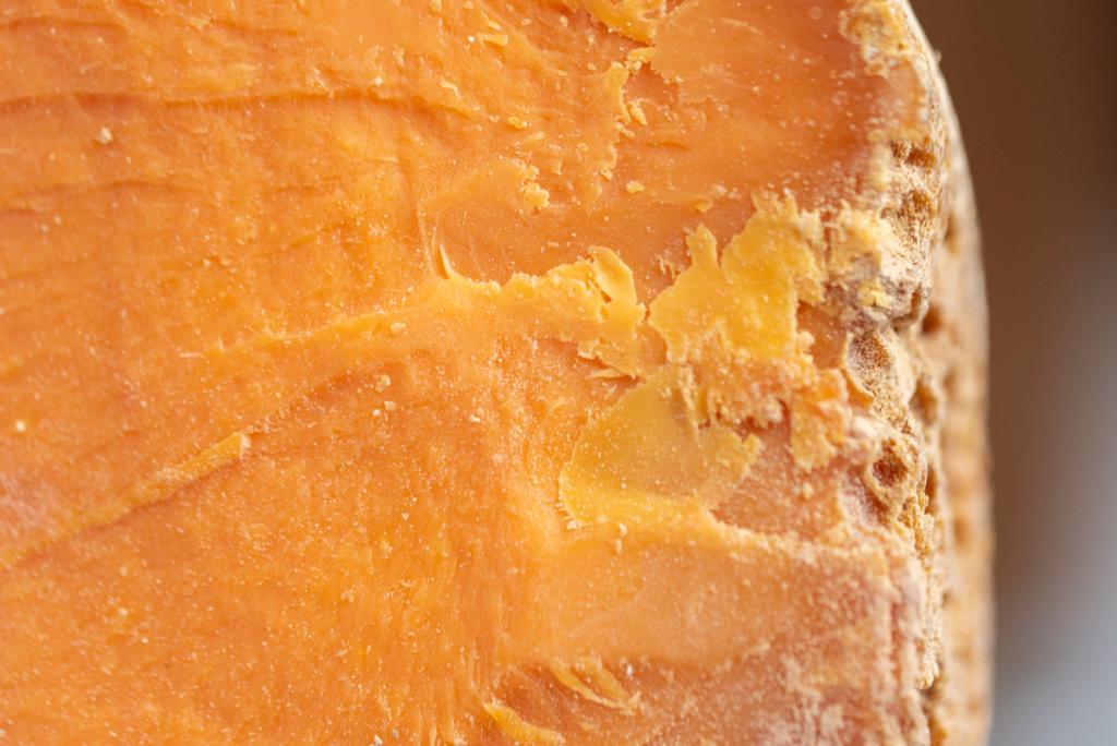 Bannière visuelle de présentation de la formation