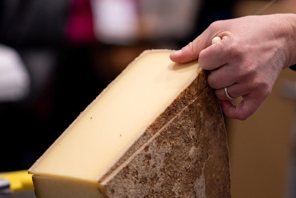 Bannière visuelle de présentation de la formation