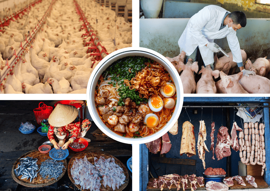 Bannière visuelle de présentation de la formation