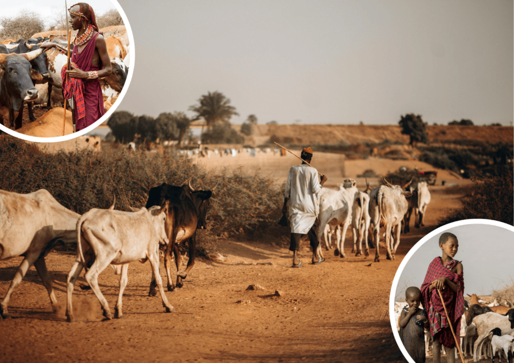 Bannière visuelle de présentation de la formation