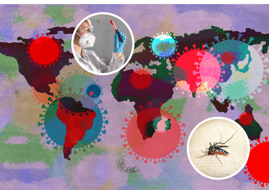 Bannière visuelle de présentation de la formation