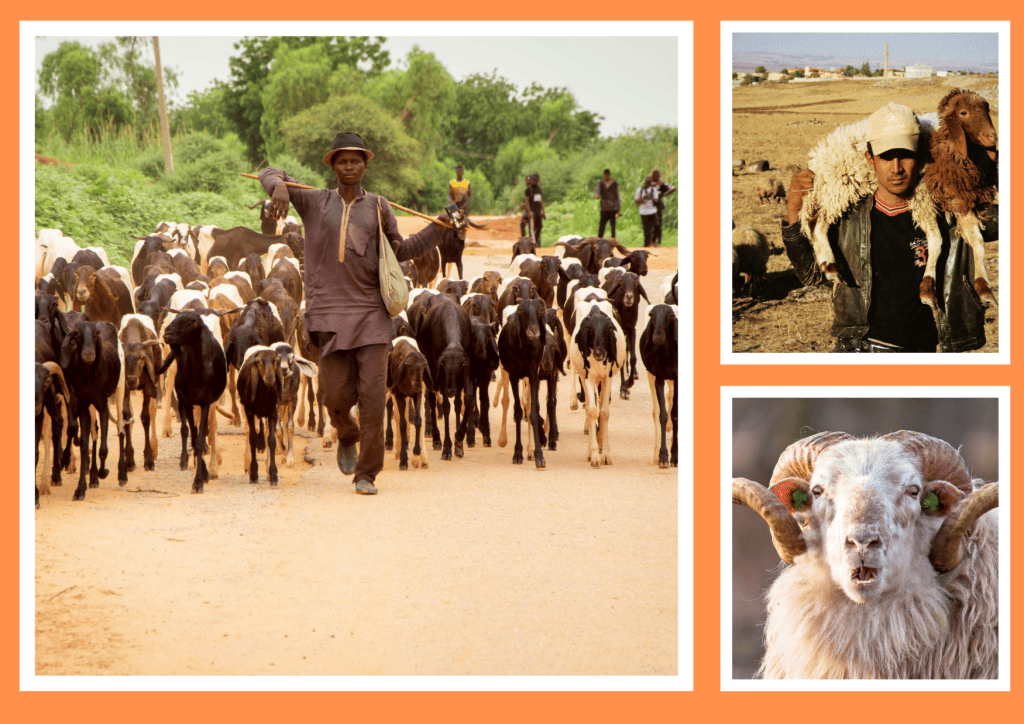 Bannière visuelle de présentation de la formation