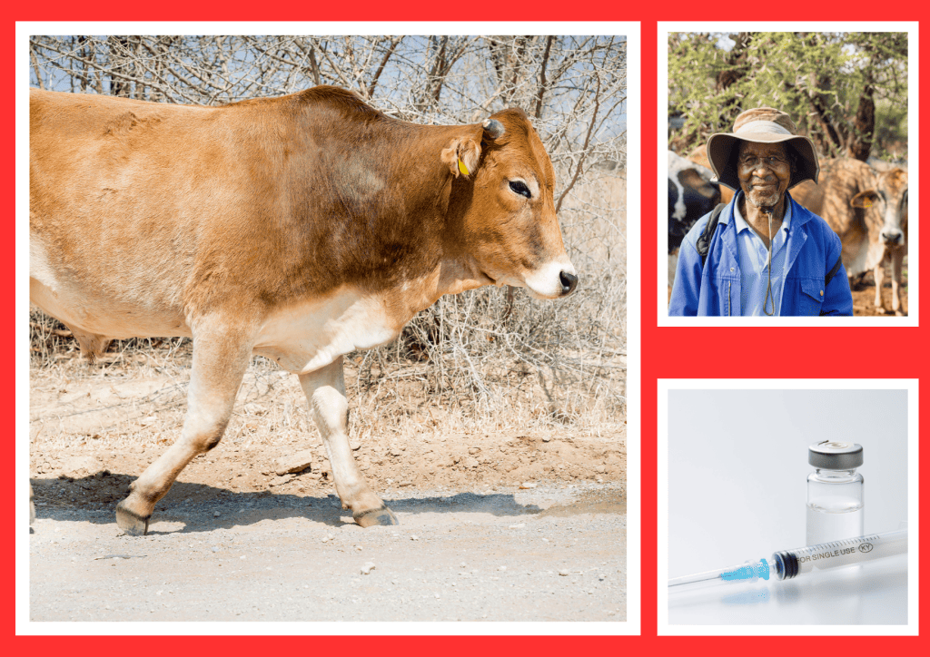 Bannière visuelle de présentation de la formation