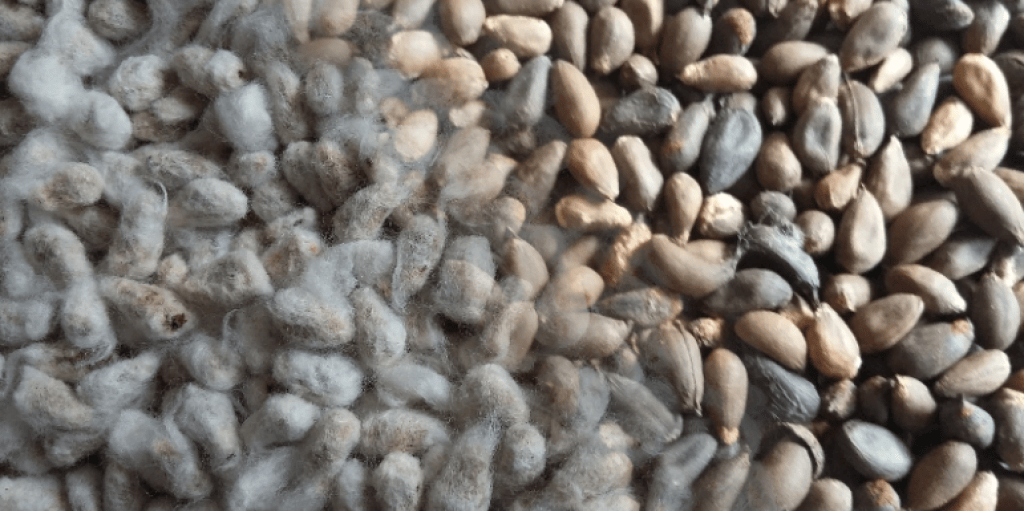 Bannière visuelle de présentation de la formation