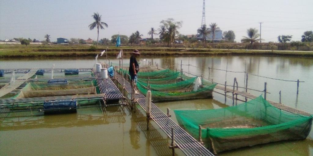 Bannière visuelle de présentation de la formation