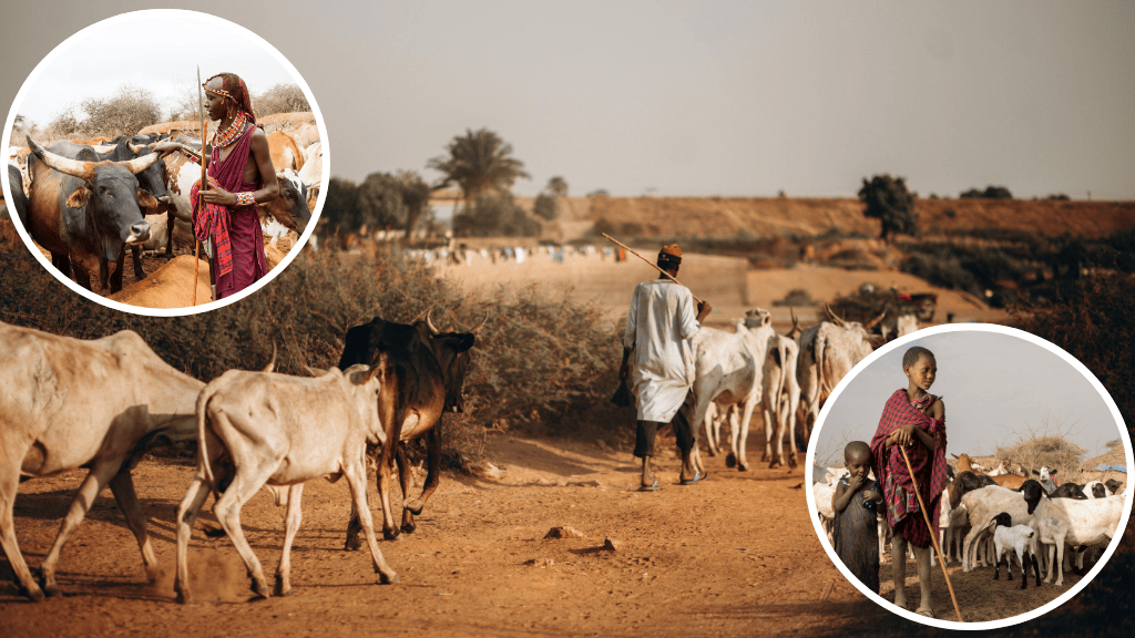 Bannière visuelle de présentation de la formation