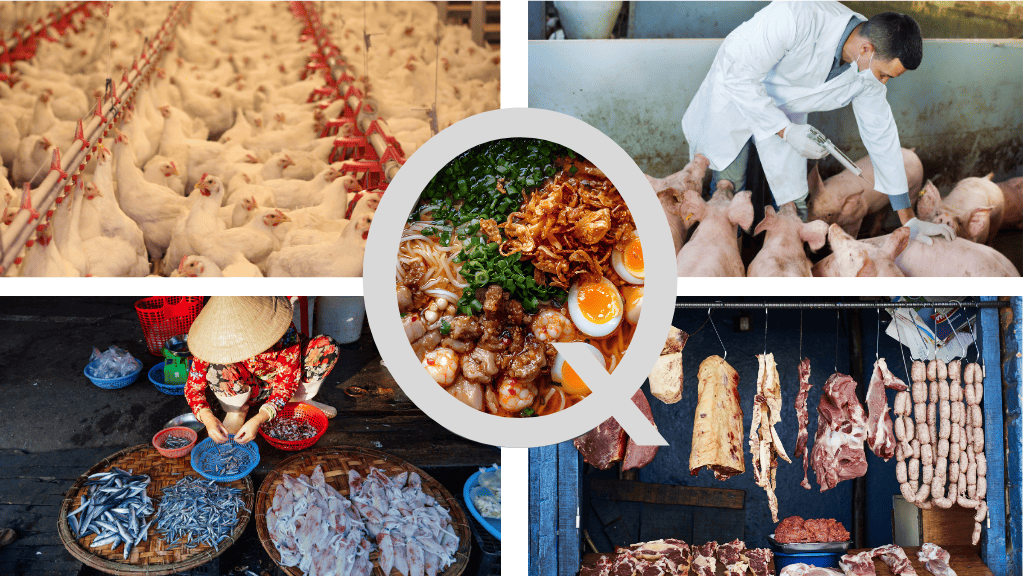 Bannière visuelle de présentation de la formation