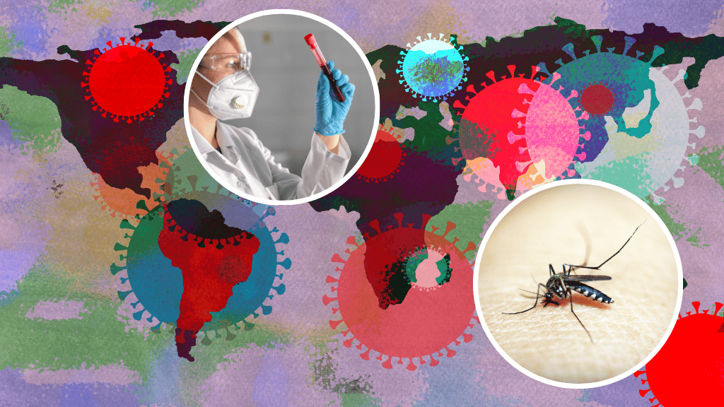 Bannière visuelle de présentation de la formation