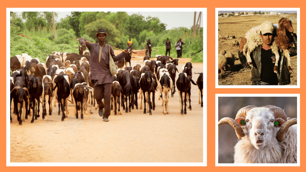 Bannière visuelle de présentation de la formation