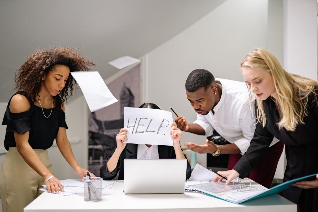 Bannière visuelle de présentation de la formation