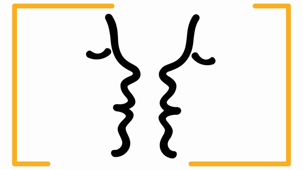 Bannière visuelle de présentation de la formation