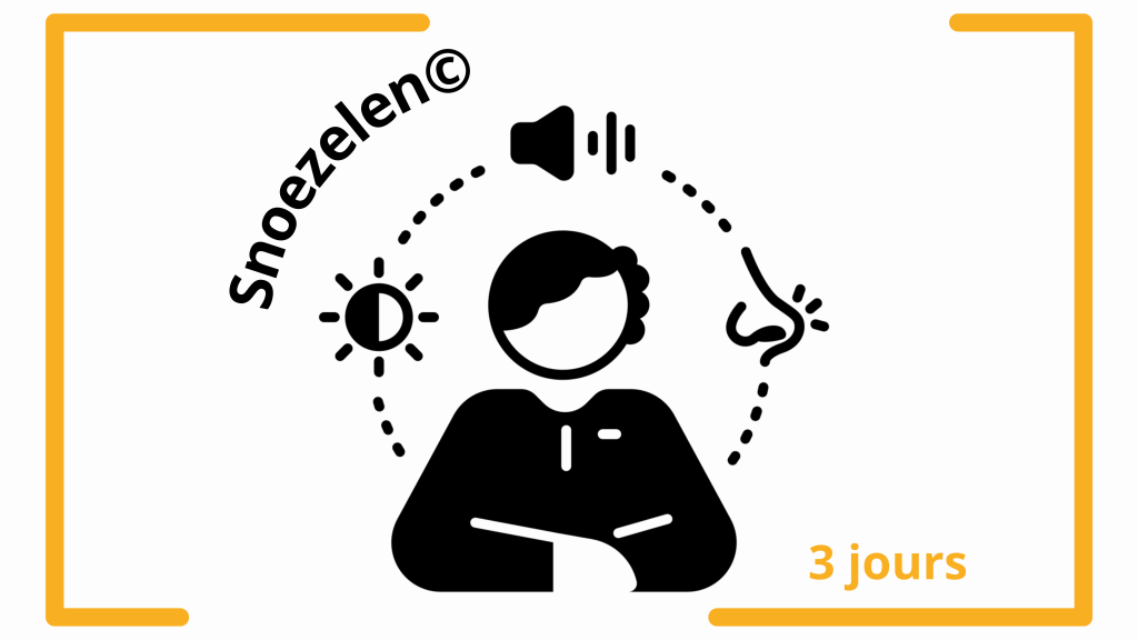 Bannière visuelle de présentation de la formation