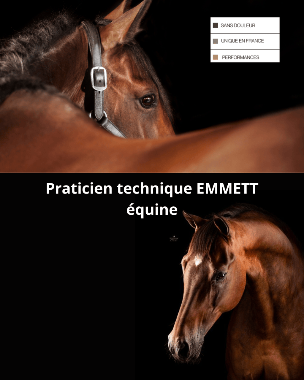 Bannière visuelle de présentation de la formation