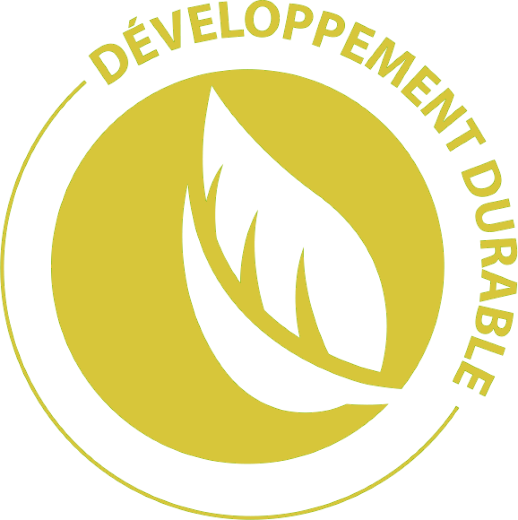 Bannière visuelle de présentation de la formation