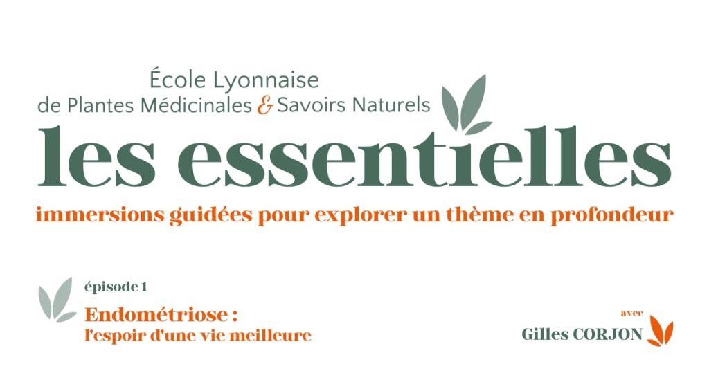 Bannière visuelle de présentation de la formation