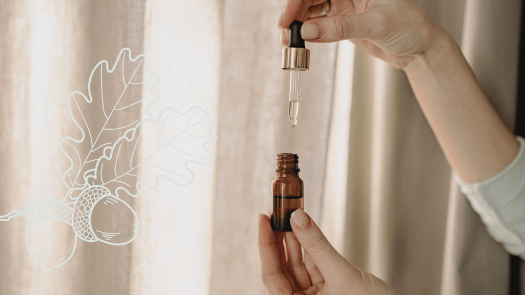 Bannière visuelle de présentation de la formation