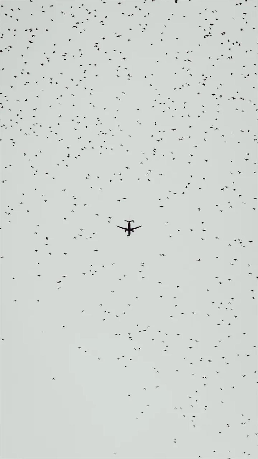 Bannière visuelle de présentation de la formation