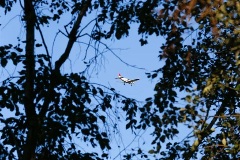 Bannière visuelle de présentation de la formation