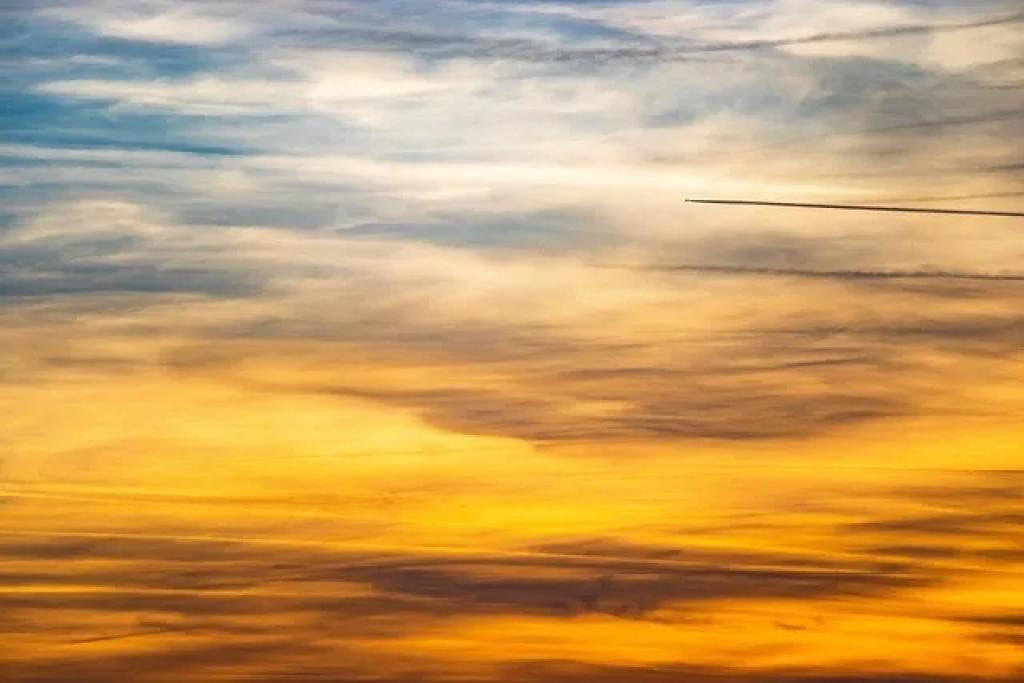 Bannière visuelle de présentation de la formation