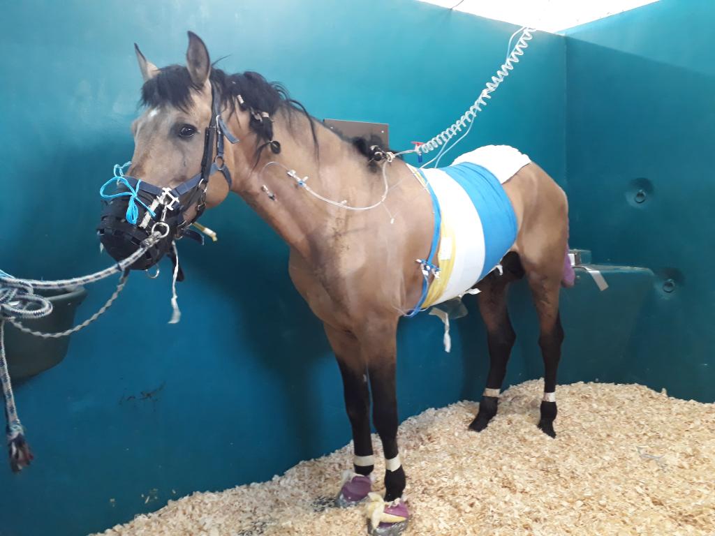 Bannière visuelle de présentation de la formation