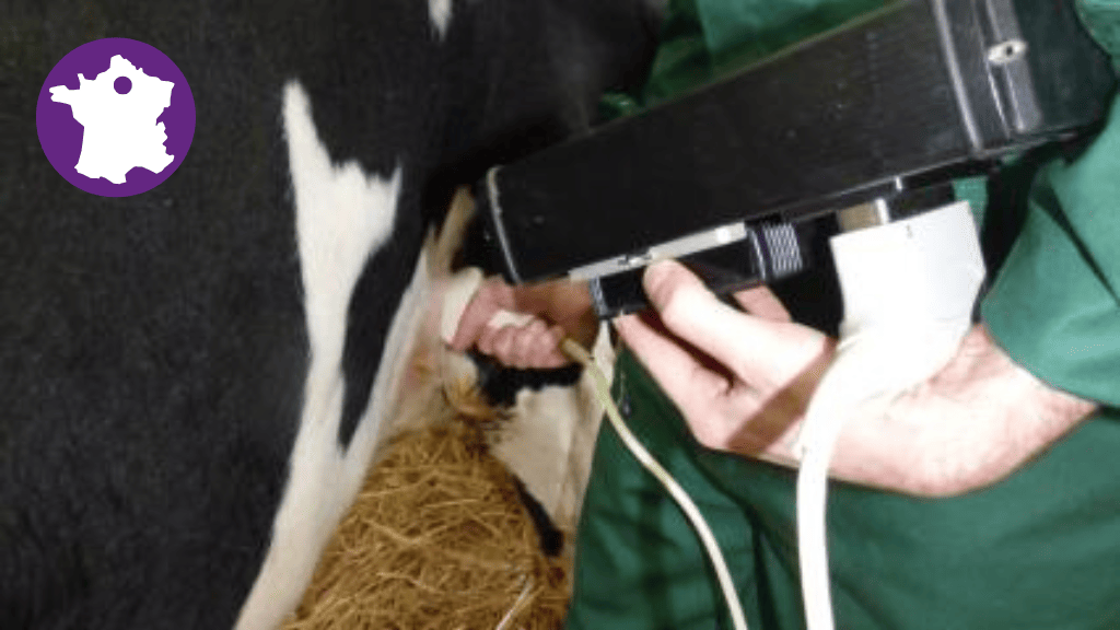 Bannière visuelle de présentation de la formation