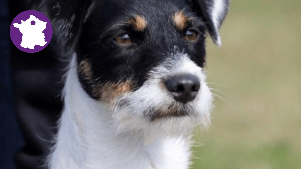 Bannière visuelle de présentation de la formation