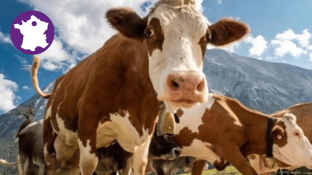 Bannière visuelle de présentation de la formation