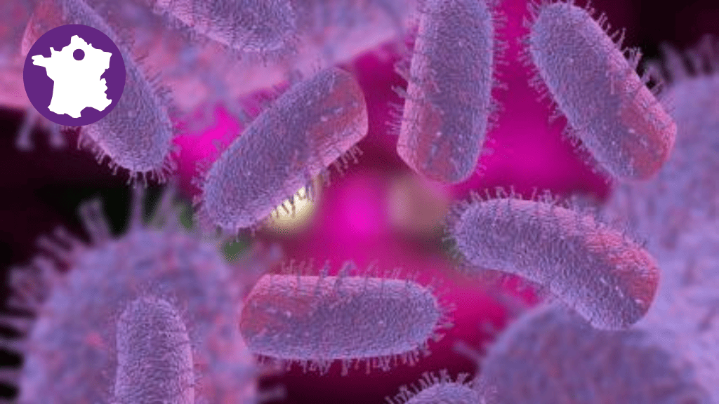 Bannière visuelle de présentation de la formation