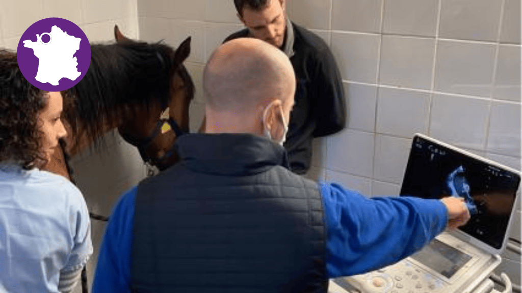 Bannière visuelle de présentation de la formation