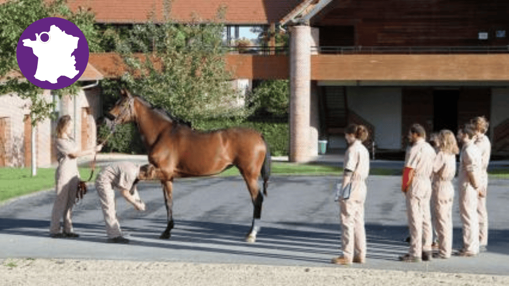 Bannière visuelle de présentation de la formation