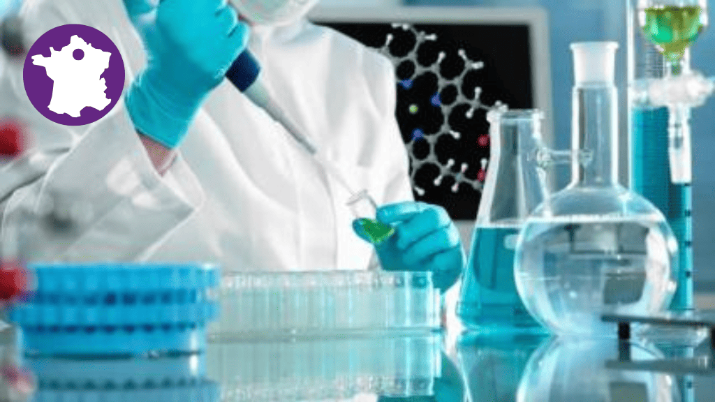 Bannière visuelle de présentation de la formation