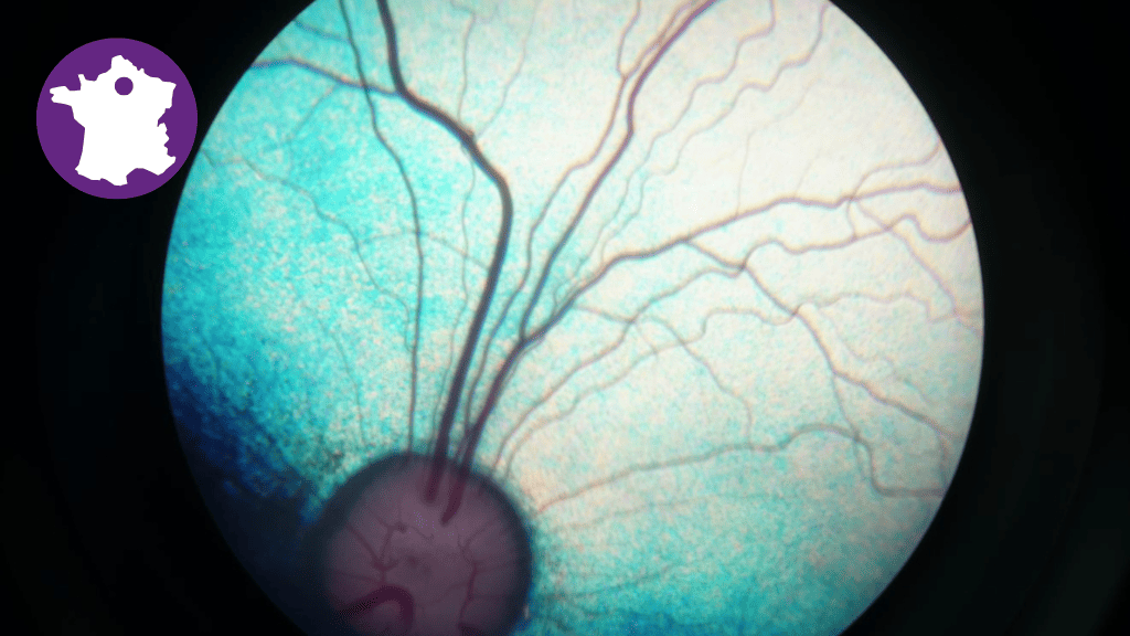 Bannière visuelle de présentation de la formation