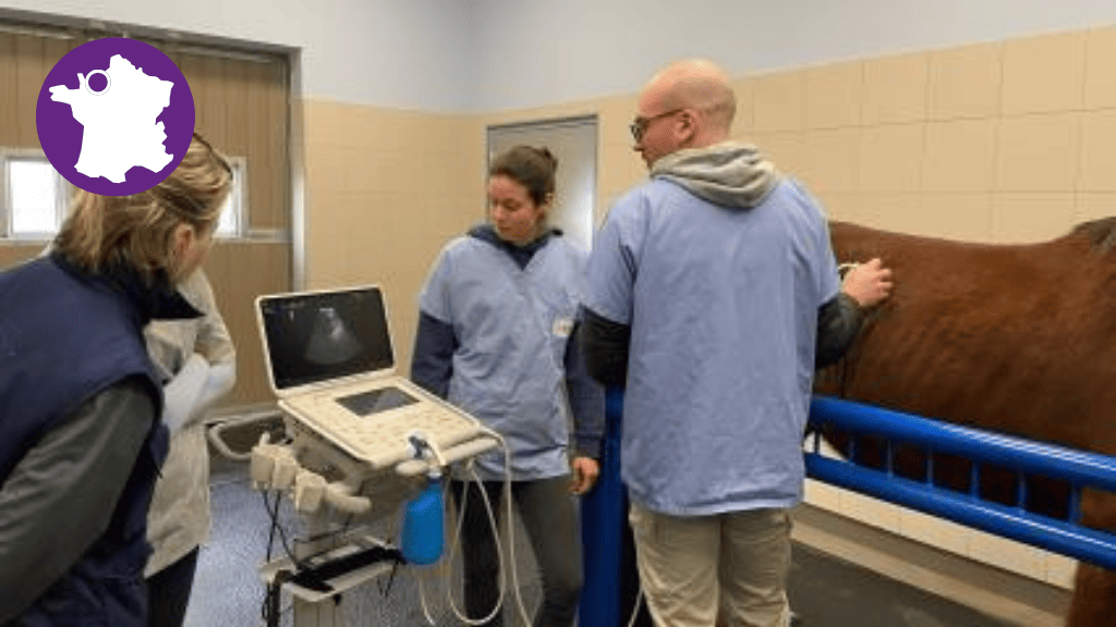 Bannière visuelle de présentation de la formation