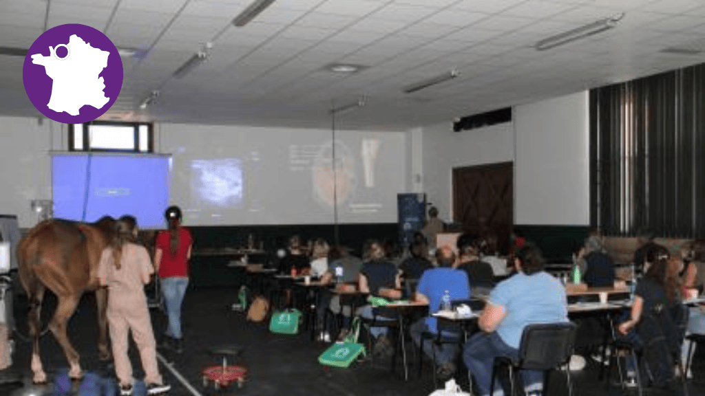 Bannière visuelle de présentation de la formation