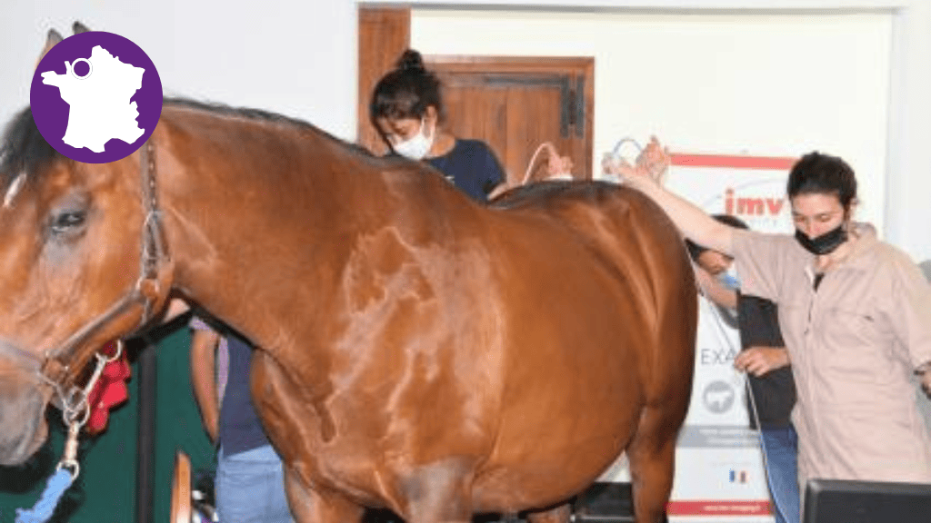 Bannière visuelle de présentation de la formation