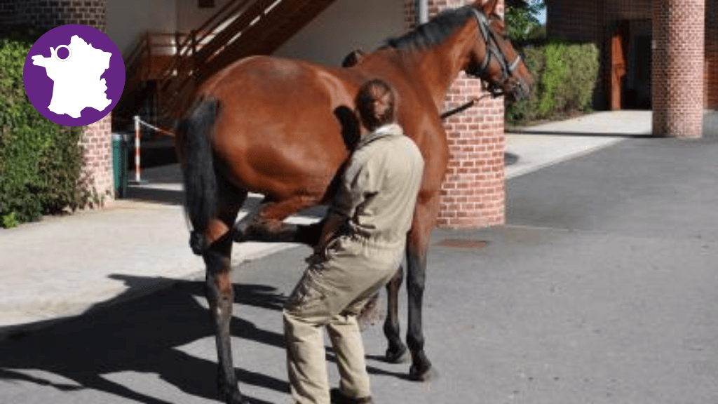Bannière visuelle de présentation de la formation