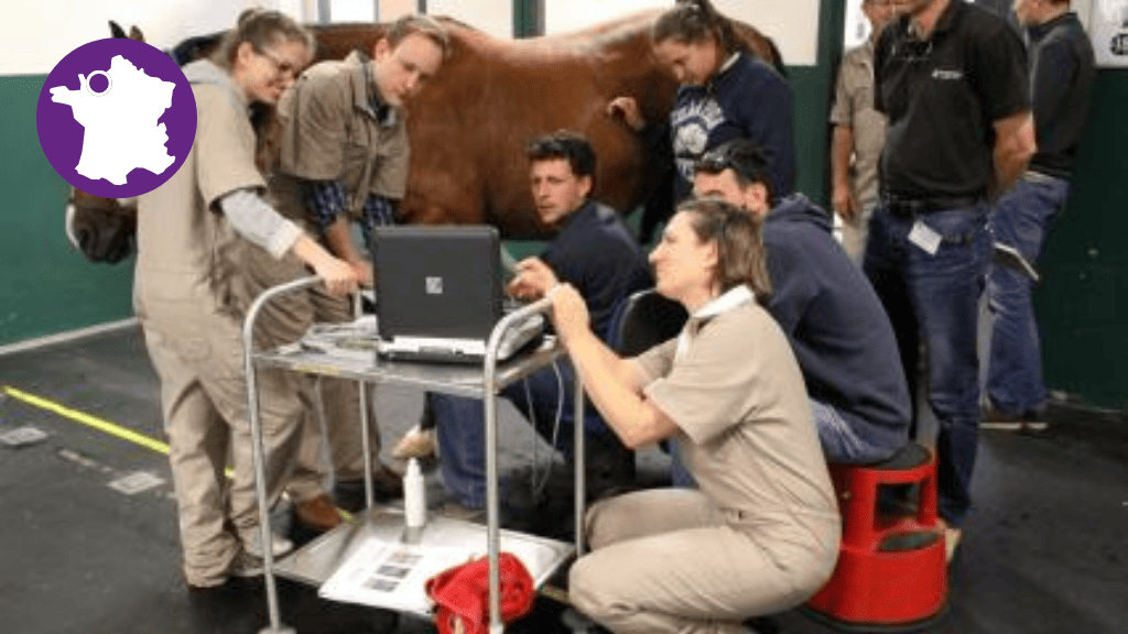 Bannière visuelle de présentation de la formation