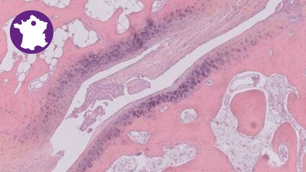 Bannière visuelle de présentation de la formation