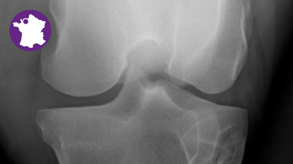 Bannière visuelle de présentation de la formation