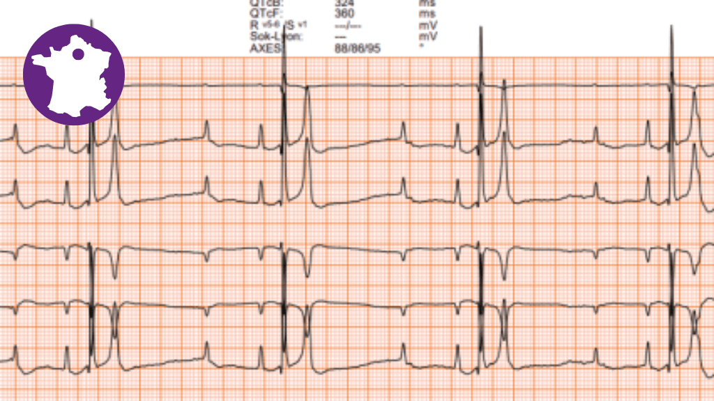 Bannière visuelle de présentation de la formation