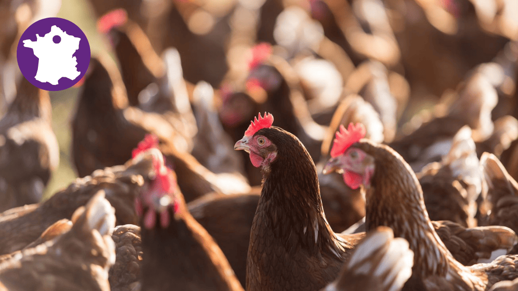 Bannière visuelle de présentation de la formation