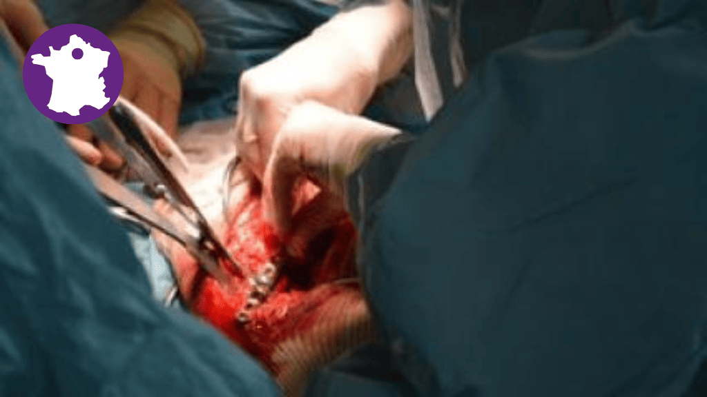 Bannière visuelle de présentation de la formation