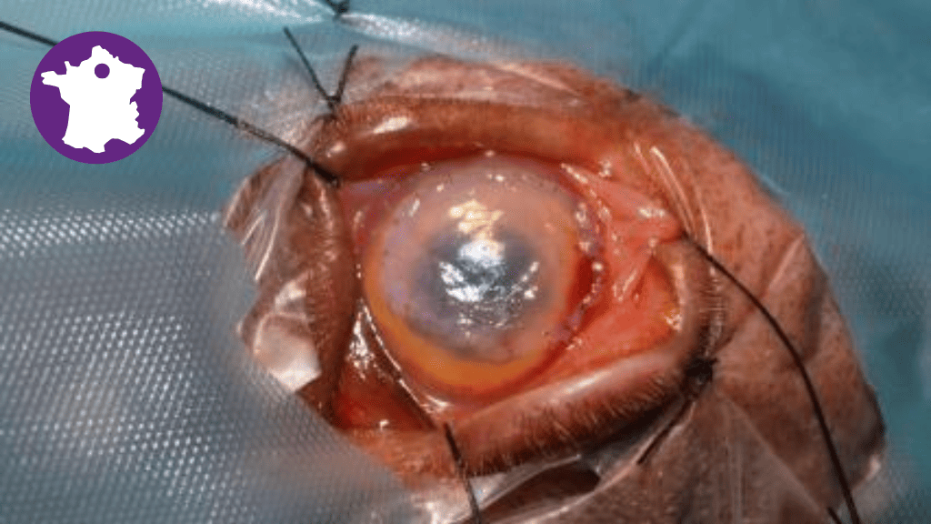 Bannière visuelle de présentation de la formation